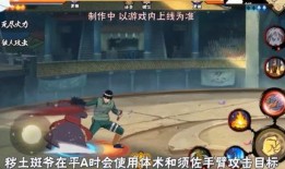 最新忍者全部技能爆料,神秘忍术大曝光！