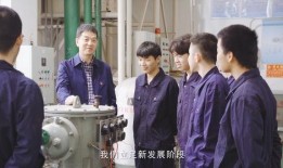 宁津探店爆料视频播放大全,揭秘热门美食视频播放大全